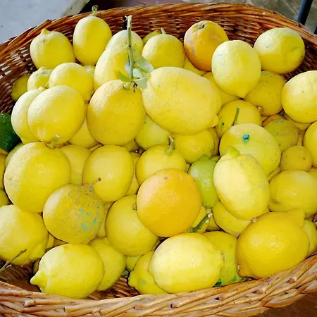 Casa de Campo Azienda Agraria Il Cardellino 2 San Valentino di Villa