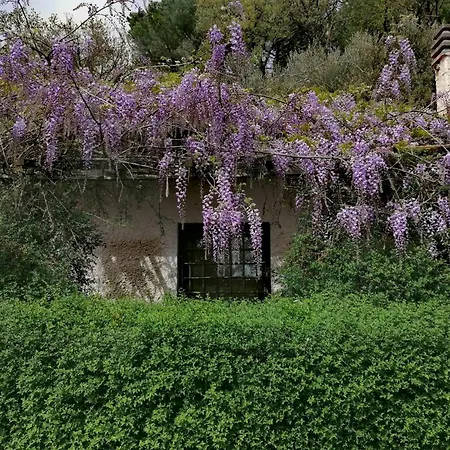 Azienda Agraria Il Cardellino 2 Casa di campagna