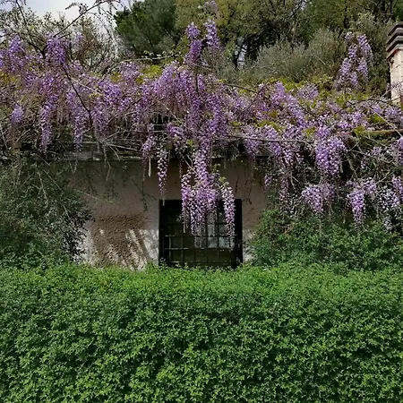Azienda Agraria Il Cardellino 2 Lantställe