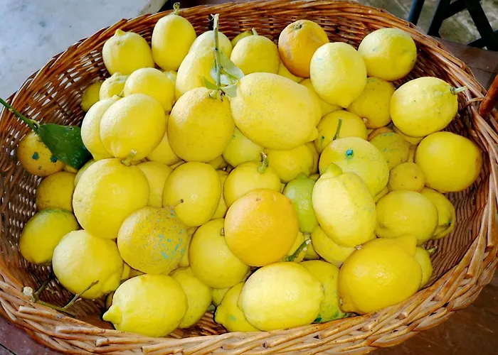 Country house Azienda Agraria Il Cardellino 2 San Valentino di Villa