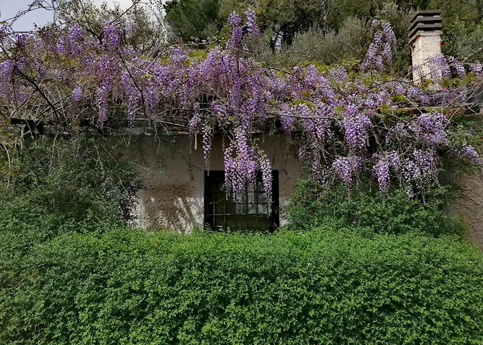 Azienda Agraria Il Cardellino 2 Country house